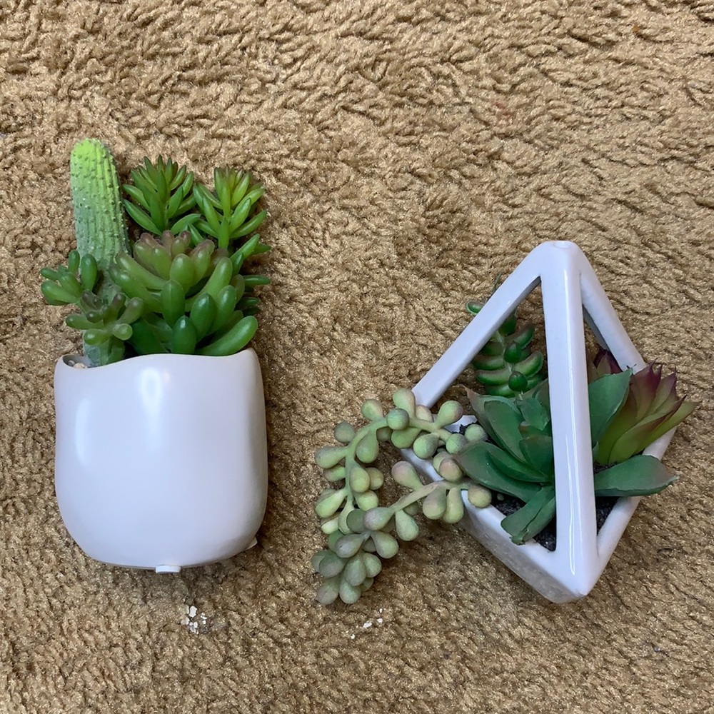 Decor